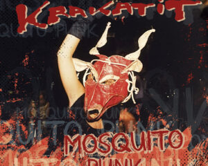 Mosquito Punk